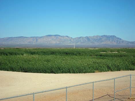 Sierra Vista Environmental Operation Park