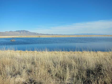 Wilcox Playa, Arizona