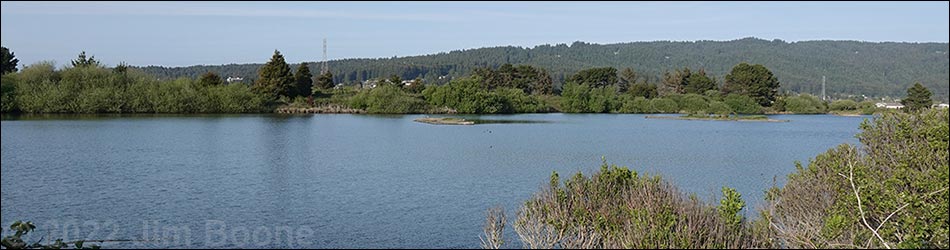 arcata marsh