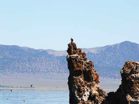 Mono Lake