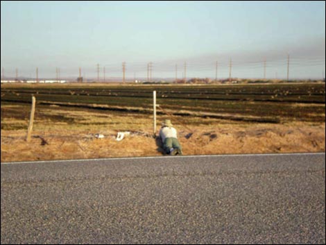 Salton Sea Farm Fields