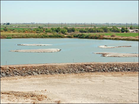 Salton Sea