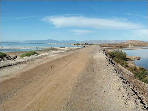 Salton Sea