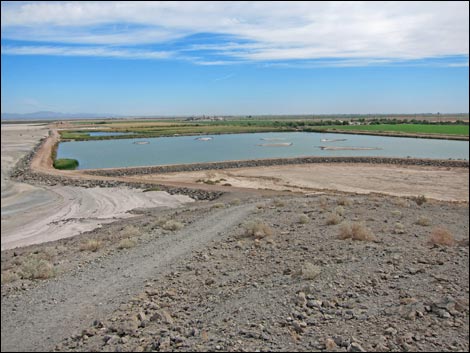 Salton Sea