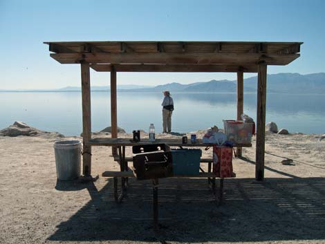 Birding the Salton Sea