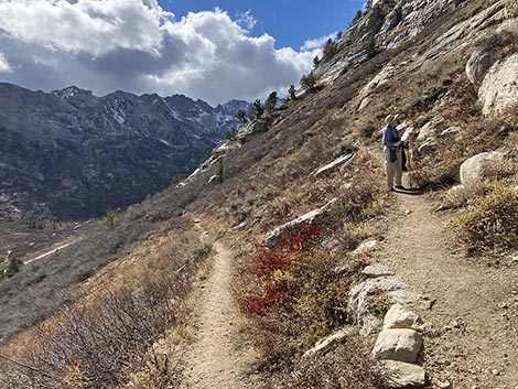 Lamoille Canyon