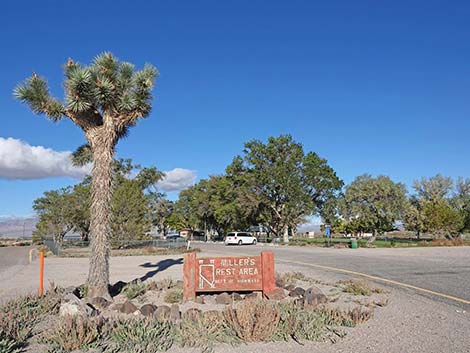 miller's rest area