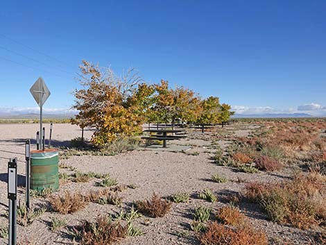 Millers Rest Area