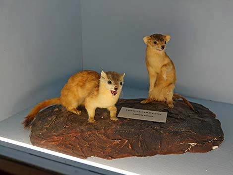 Malheur National Wildlife Refuge