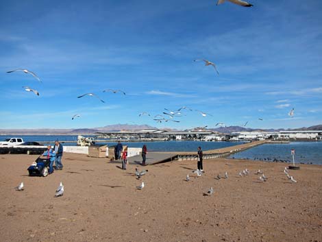 Boulder Beach