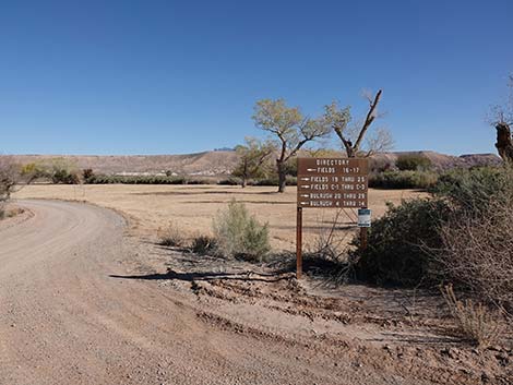 Overton Wildlife Management Area