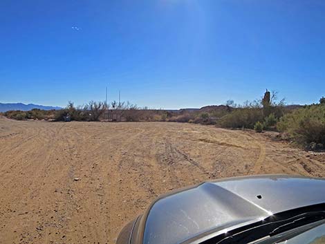 Overton Wildlife Management Area