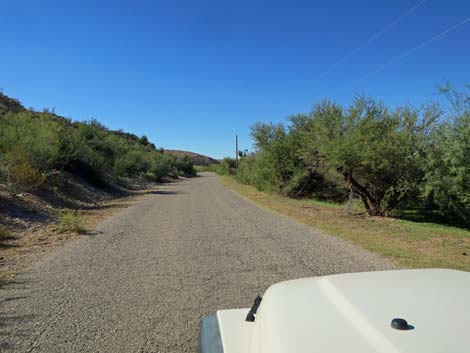 Virgin River Birding