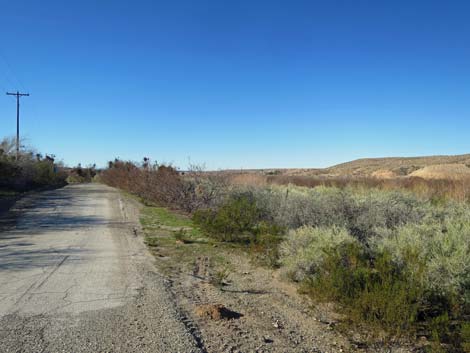 Virgin River Birding