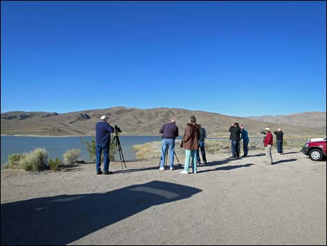 Pahranagat NWR