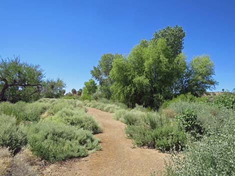 Warm Springs Natural Area