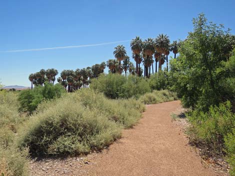 Warm Springs Natural Area