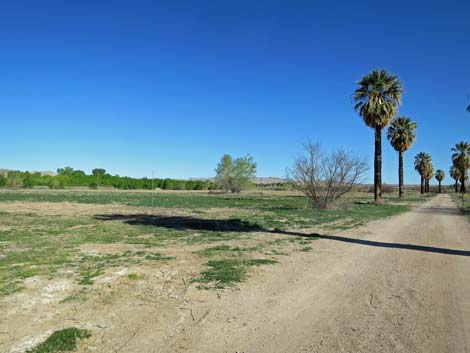 Warm Springs Natural Area