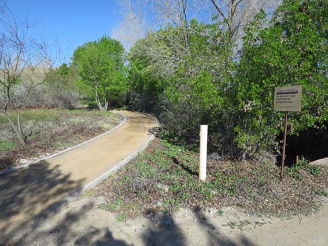 Warm Springs Natural Area