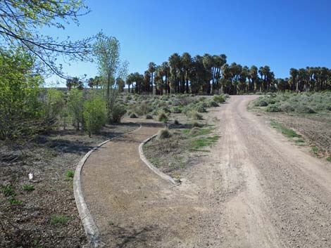 Warm Springs Natural Area