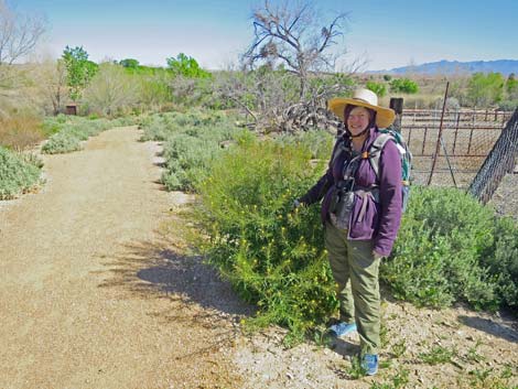 Warm Springs Natural Area