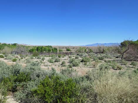 Warm Springs Natural Area