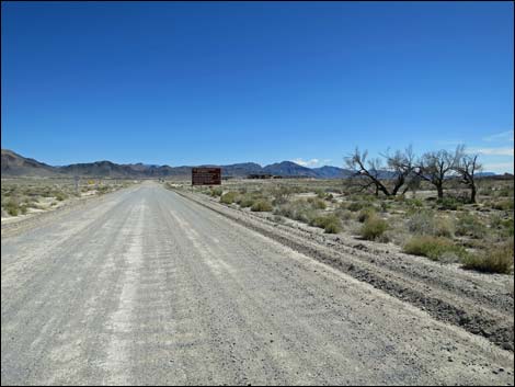 Spring Meadows Road