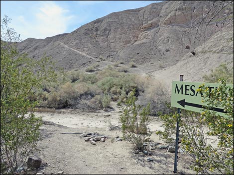 China Ranch