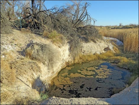  Shoshone Aqua Birding Trail