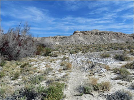 Aqua Birding Trail