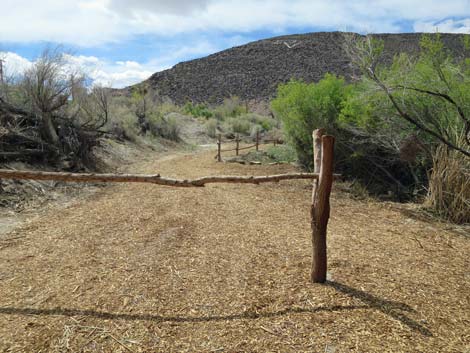 Swimming Pool Trail