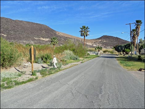 Swimming Pool Trail