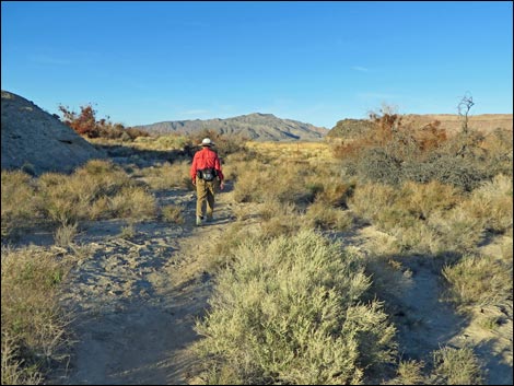 Shoshone Red Birding Trail