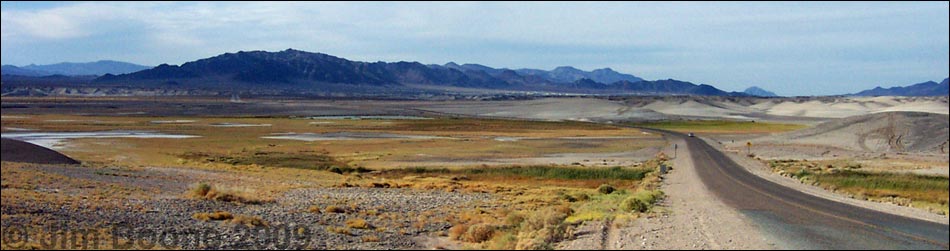 Birding Around the Tecopa Marsh