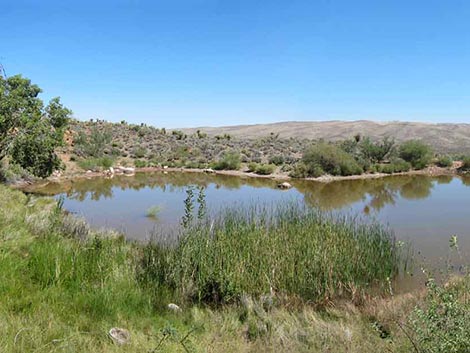 Spring Mountain Ranch State Park