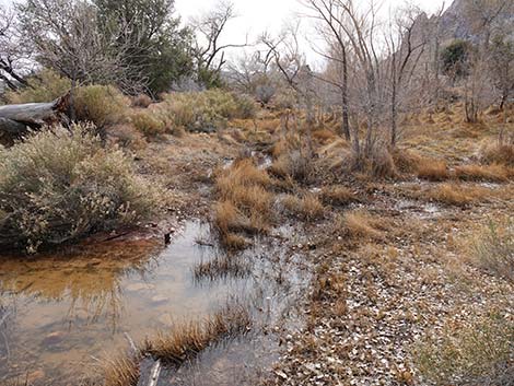 Spring Mountain Ranch State Park