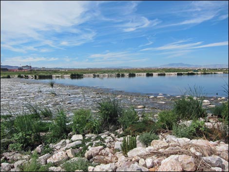 Duck Creek Trails