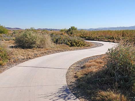 Quail Run Trail