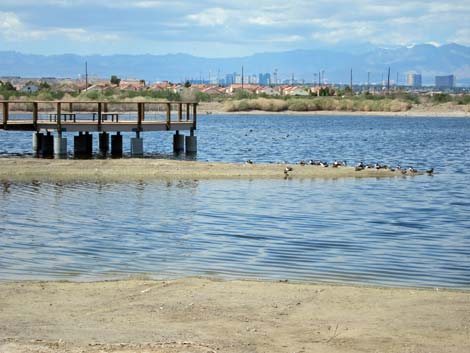 Henderson Bird Viewing Preserve