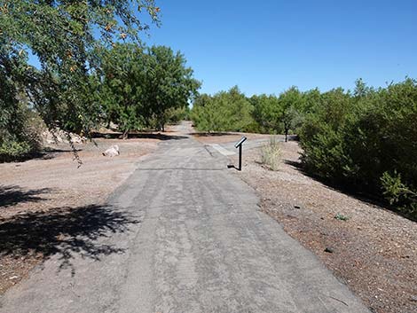 Henderson Bird Viewing Preserve