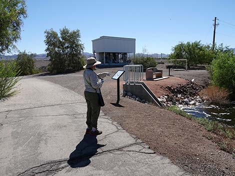 Henderson Bird Viewing Preserve