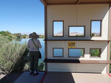 Henderson Bird Viewing Preserve