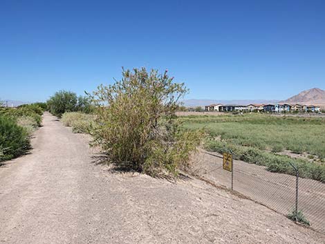 Henderson Bird Viewing Preserve