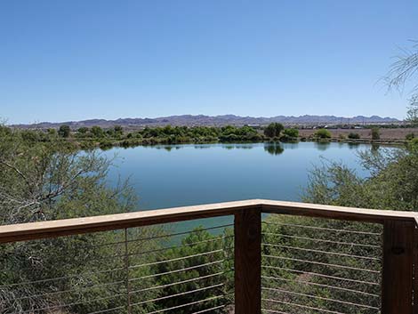 Henderson Bird Viewing Preserve