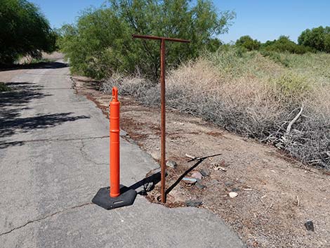 Henderson Bird Viewing Preserve