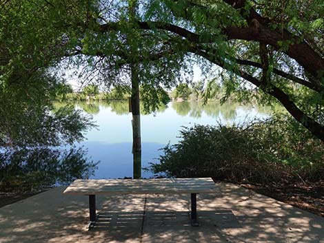 Henderson Bird Viewing Preserve