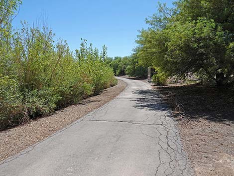 Henderson Bird Viewing Preserve