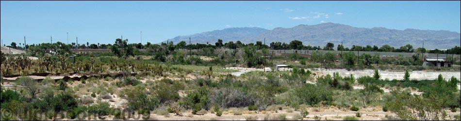 Birding Around the Las Vegas Springs Preserve