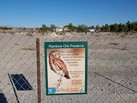 Rainbow Owl Preserve