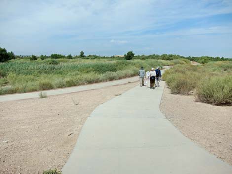 Clark County Wetlands Park